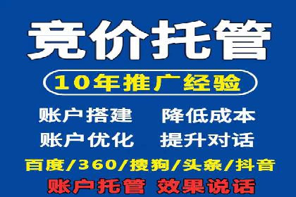 SEM竞价代运营实战技巧与案例