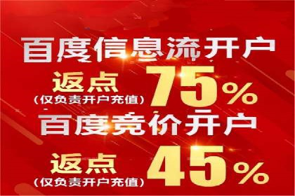 百度搜索推广案例解析：优化策略大揭秘